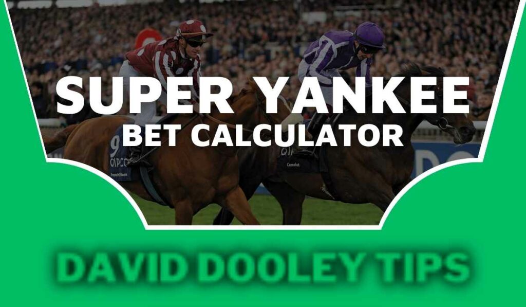 Super Yankee Bet Calculator